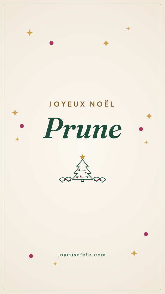 Image « Joyeux Noël Prune » au format story