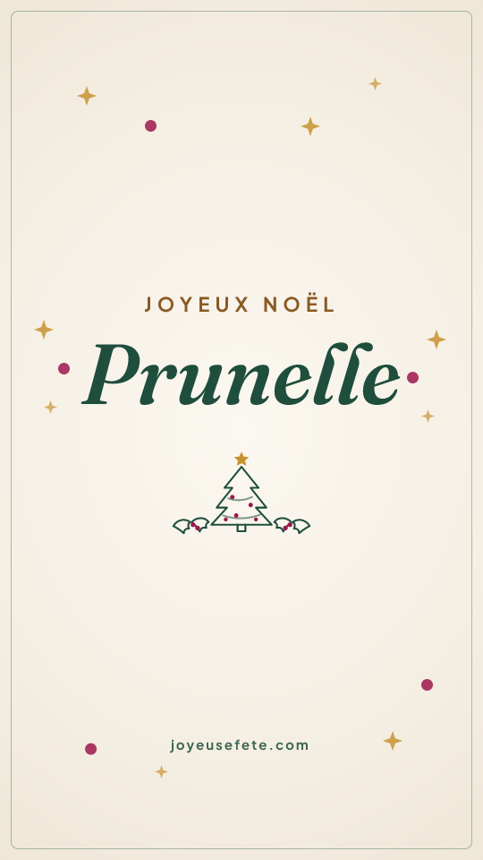 Image « Joyeux Noël Prunelle » au format story