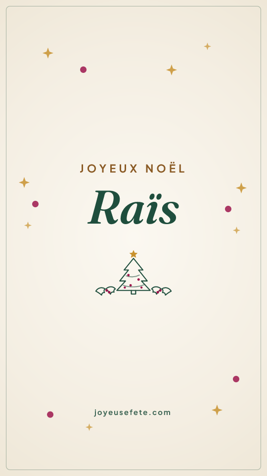 Image « Joyeux Noël Raïs » au format story