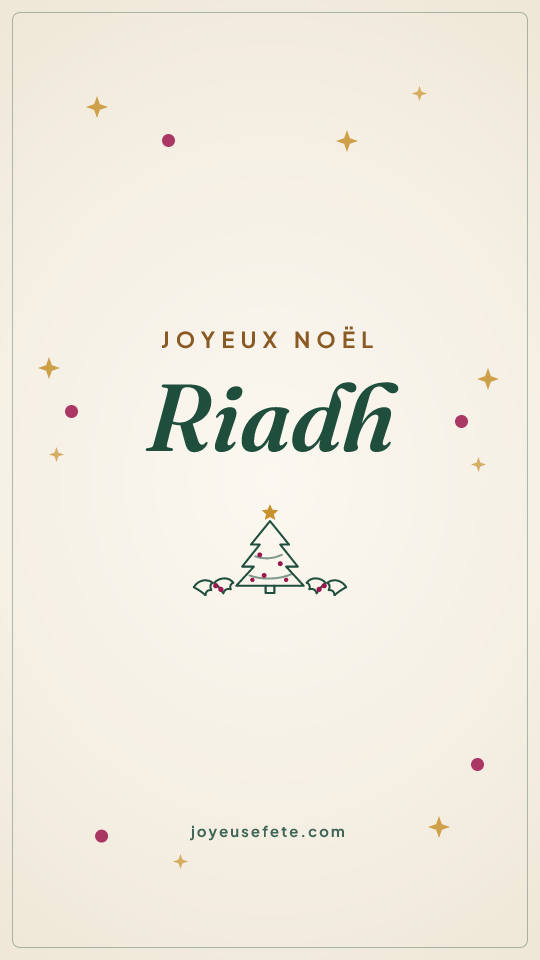 Image « Joyeux Noël Riadh » au format story
