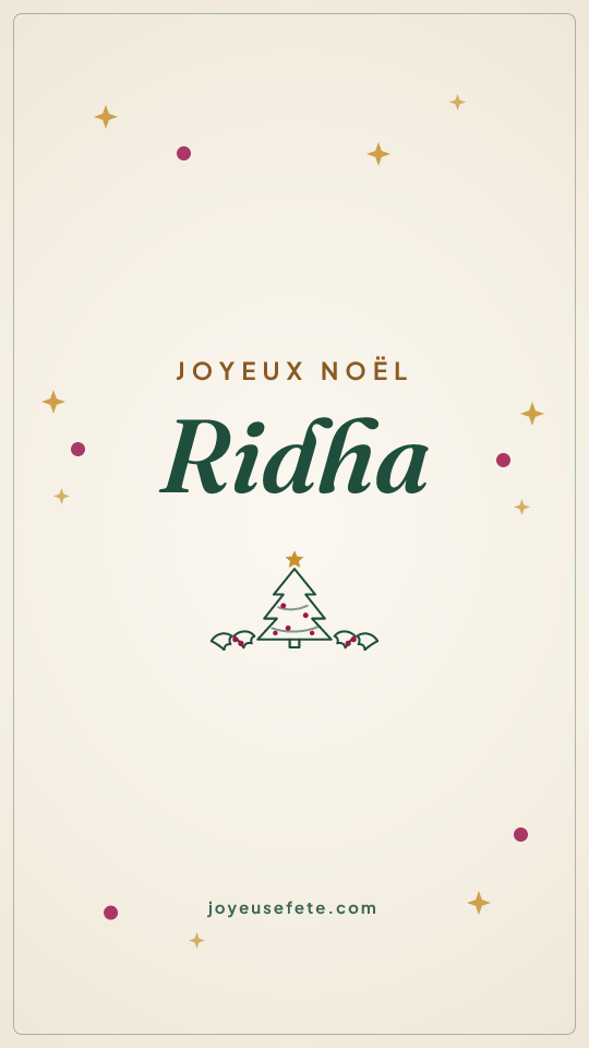 Image « Joyeux Noël Ridha » au format story