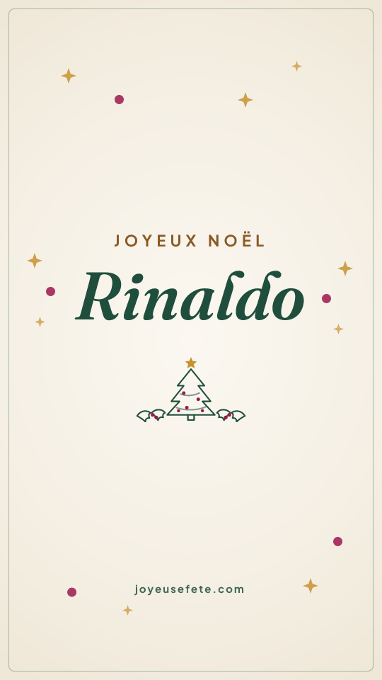 Image « Joyeux Noël Rinaldo » au format story