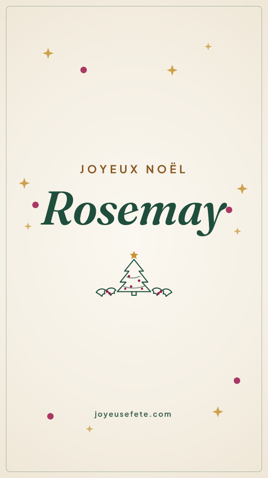 Image « Joyeux Noël Rosemay » au format story