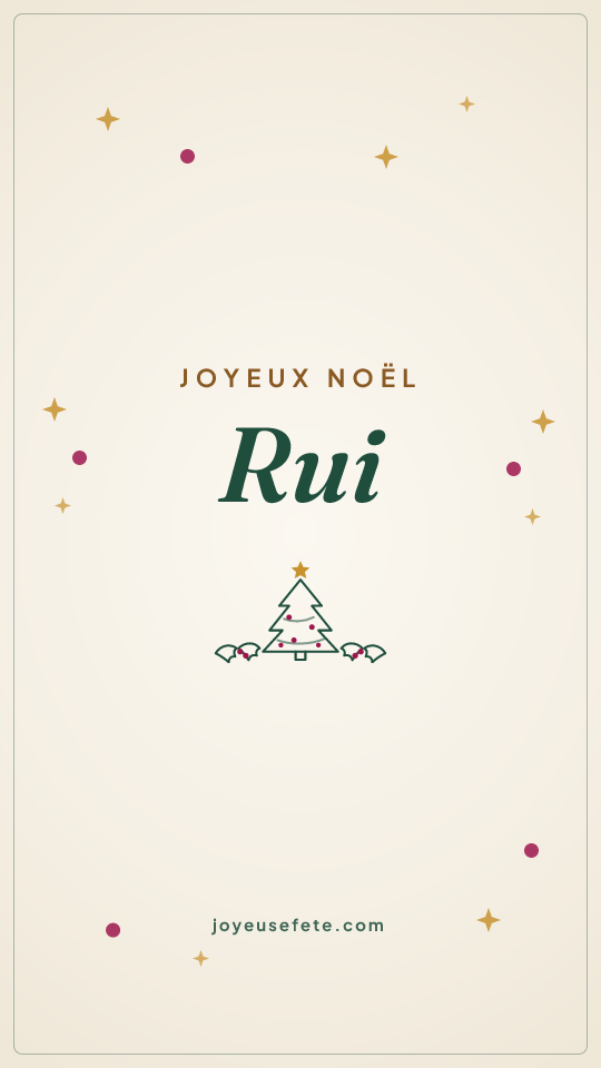 Image « Joyeux Noël Rui » au format story