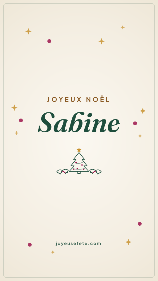 Image « Joyeux Noël Sabine » au format story