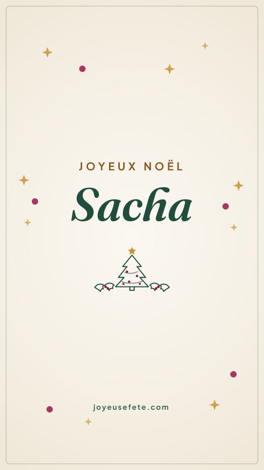 Image « Joyeux Noël Sacha » au format story
