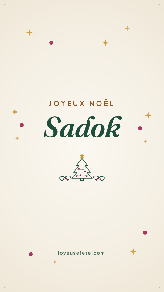 Image « Joyeux Noël Sadok » au format story