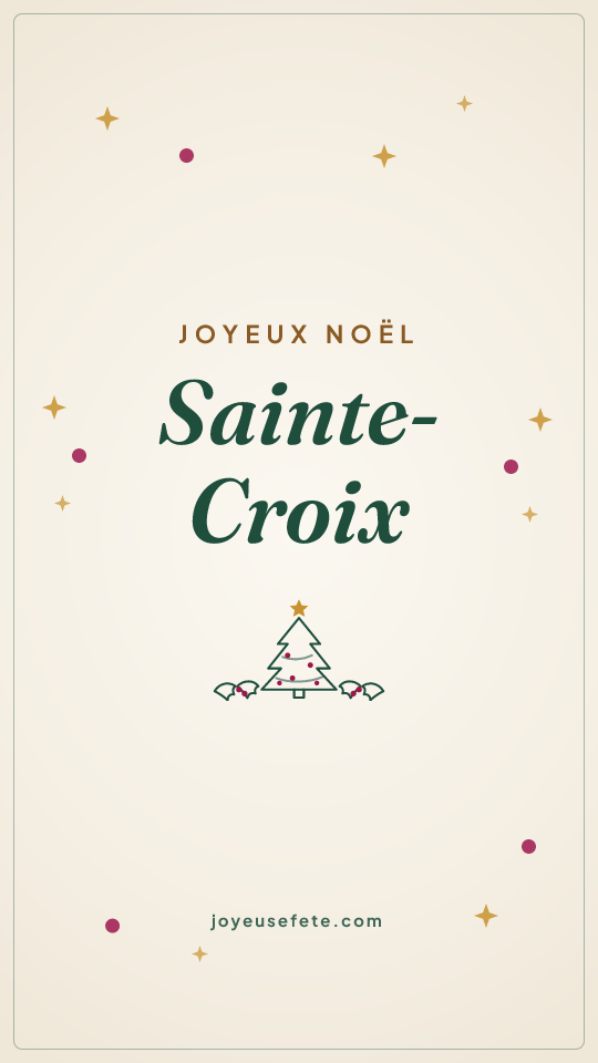 Image « Joyeux Noël Sainte-Croix » au format story
