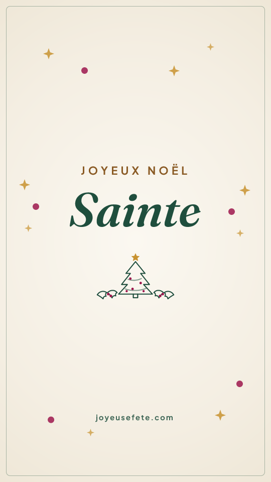 Image « Joyeux Noël Sainte » au format story