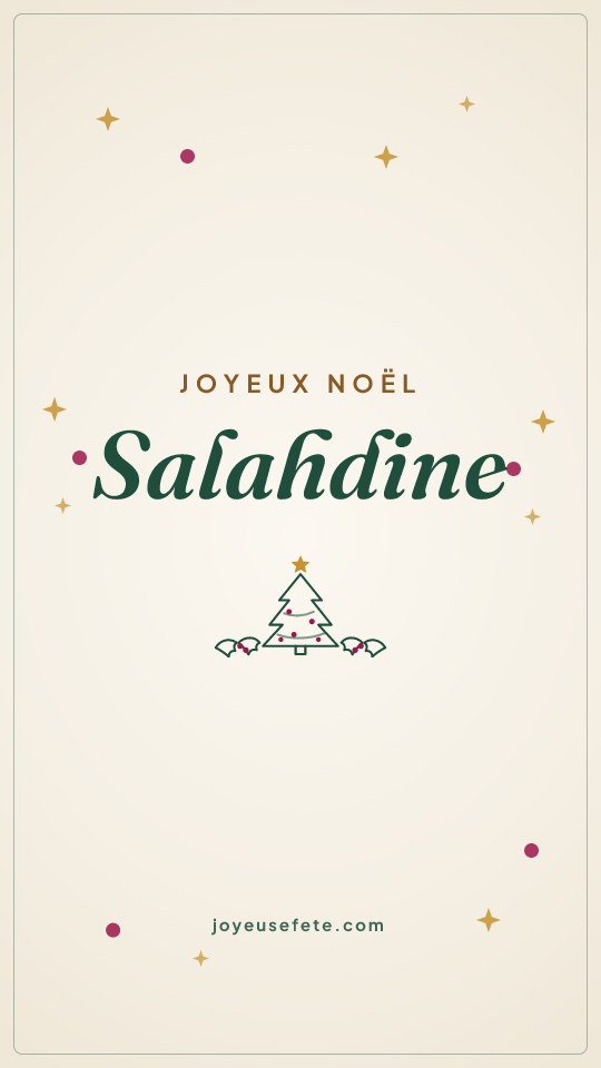 Image « Joyeux Noël Salahdine » au format story