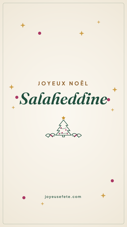 Image « Joyeux Noël Salaheddine » au format story