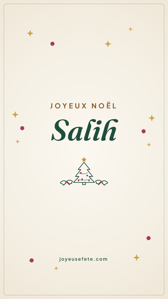 Image « Joyeux Noël Salih » au format story
