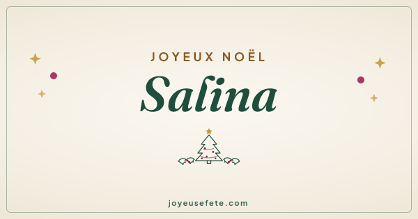 Image « Joyeux Noël Salina » au format large