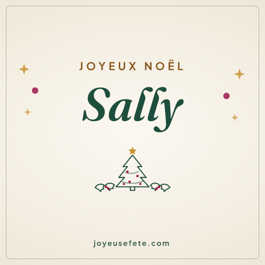 Image carrée « Joyeux Noël Sally » pour WhatsApp