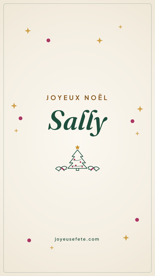 Image « Joyeux Noël Sally » au format story