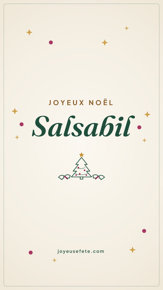 Image « Joyeux Noël Salsabil » au format story