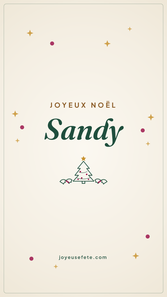 Image « Joyeux Noël Sandy » au format story