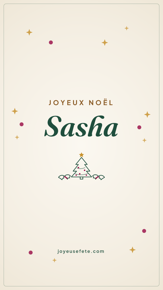 Image « Joyeux Noël Sasha » au format story