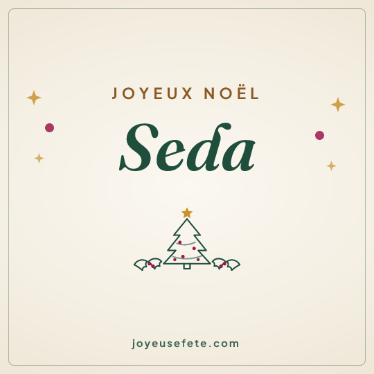 Image carrée « Joyeux Noël Seda » pour WhatsApp