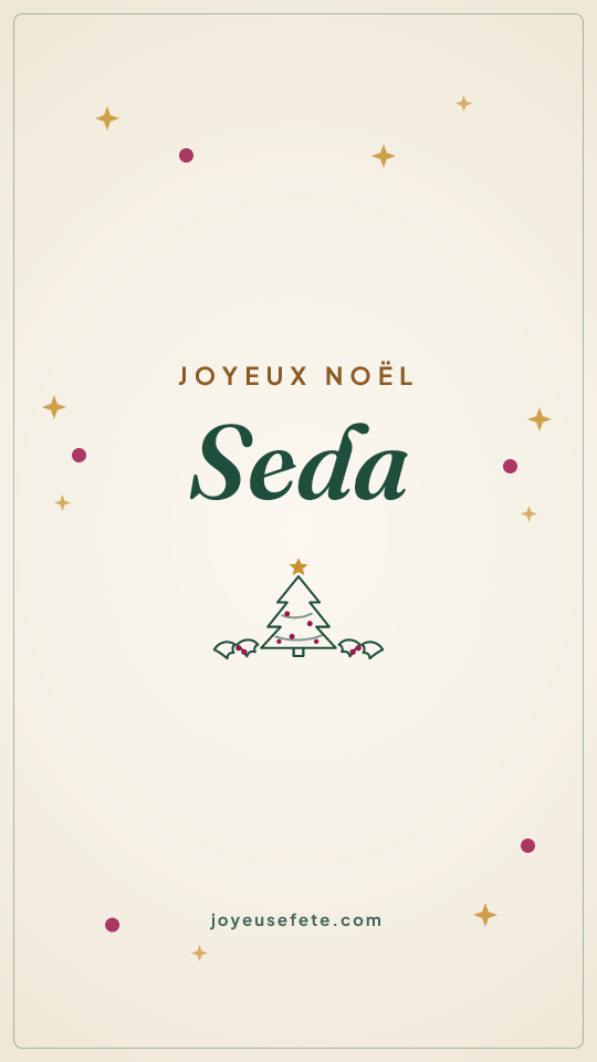 Image « Joyeux Noël Seda » au format story