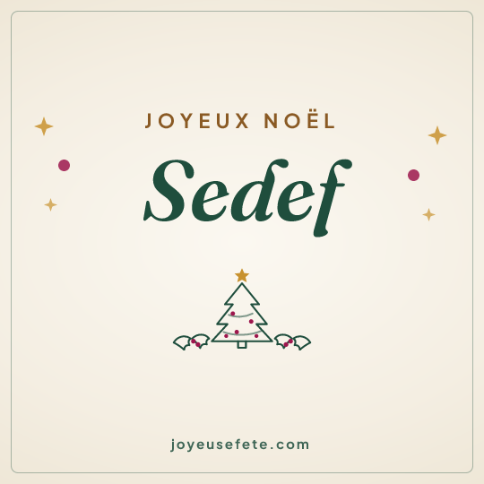 Image carrée « Joyeux Noël Sedef » pour WhatsApp