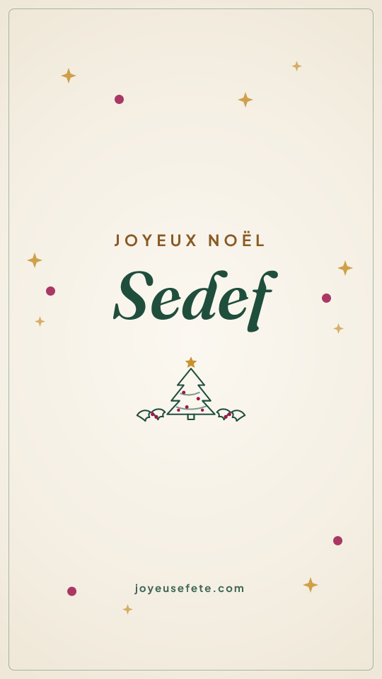 Image « Joyeux Noël Sedef » au format story