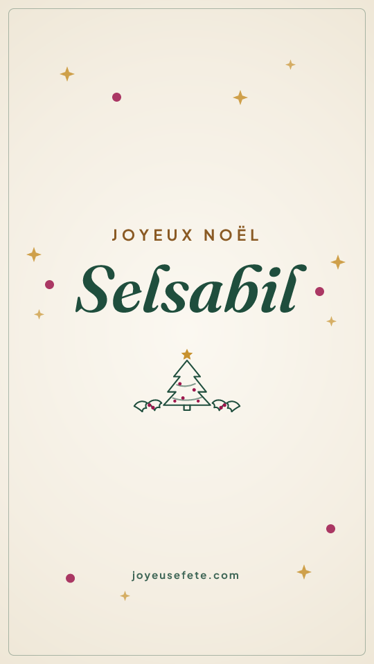 Image « Joyeux Noël Selsabil » au format story