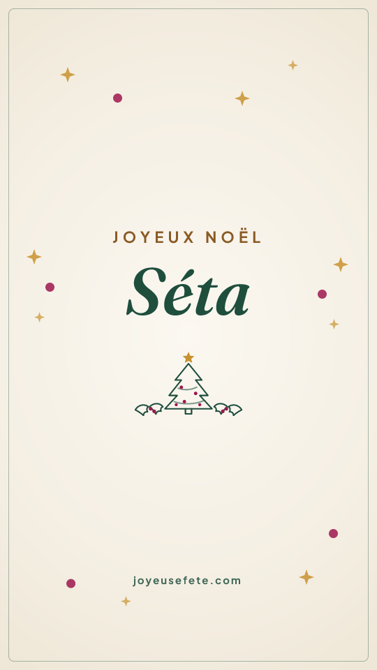 Image « Joyeux Noël Séta » au format story