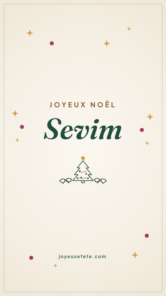 Image « Joyeux Noël Sevim » au format story