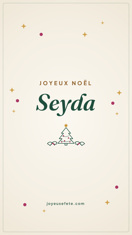 Image « Joyeux Noël Seyda » au format story