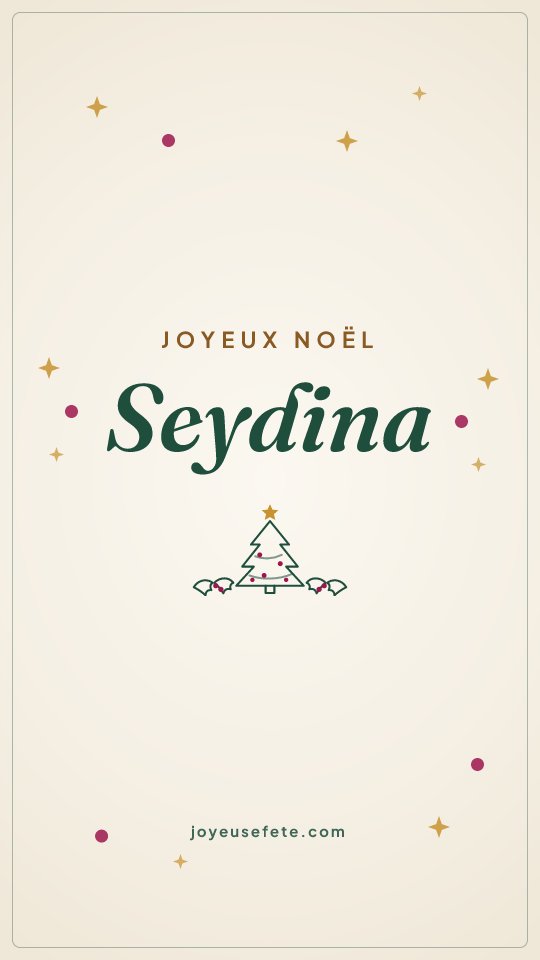 Image « Joyeux Noël Seydina » au format story