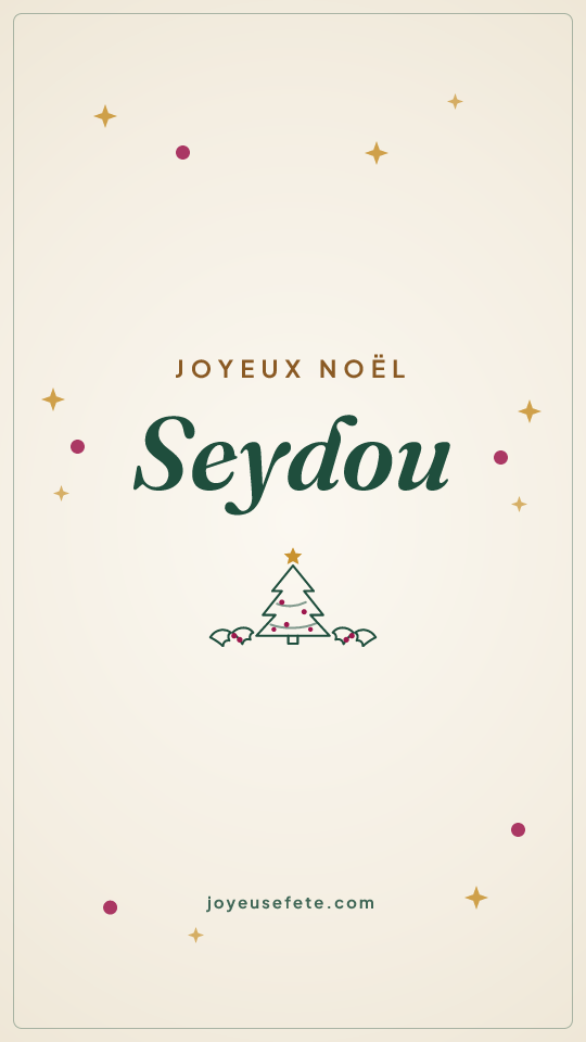 Image « Joyeux Noël Seydou » au format story