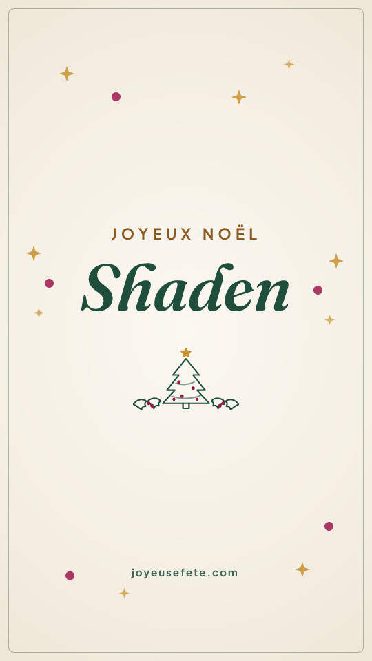 Image « Joyeux Noël Shaden » au format story