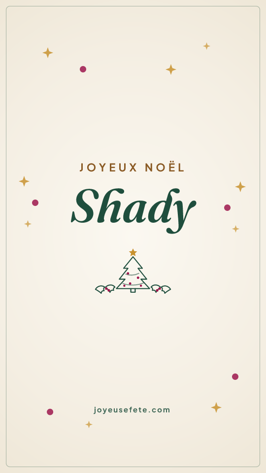 Image « Joyeux Noël Shady » au format story