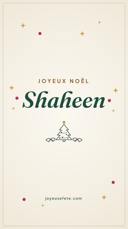Image « Joyeux Noël Shaheen » au format story