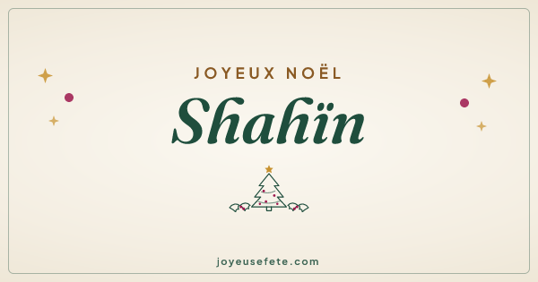 Image « Joyeux Noël Shahïn » au format large