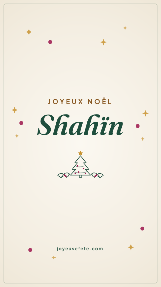 Image « Joyeux Noël Shahïn » au format story