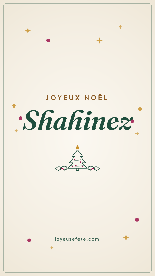 Image « Joyeux Noël Shahinez » au format story