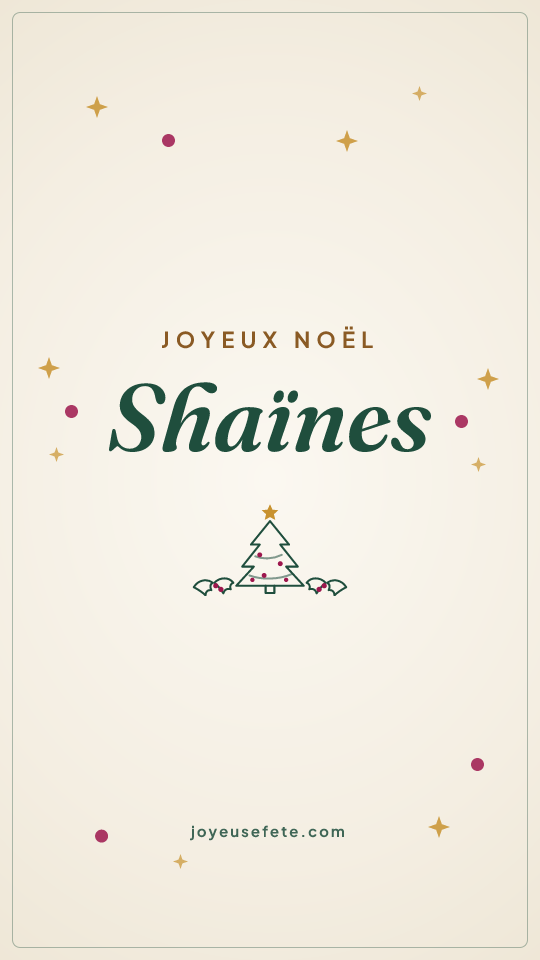Image « Joyeux Noël Shaïnes » au format story