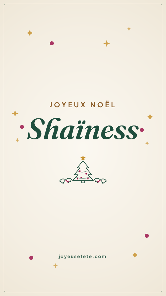 Image « Joyeux Noël Shaïness » au format story