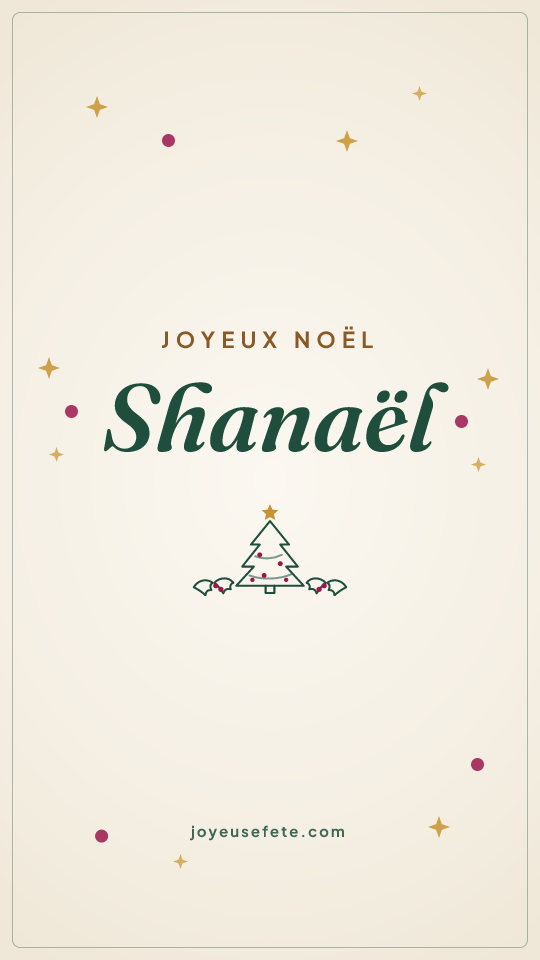 Image « Joyeux Noël Shanaël » au format story