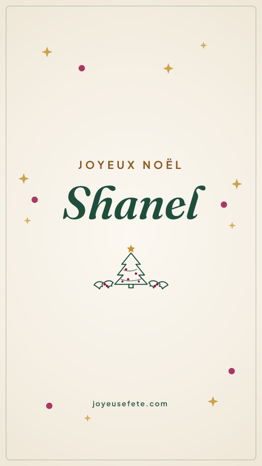 Image « Joyeux Noël Shanel » au format story