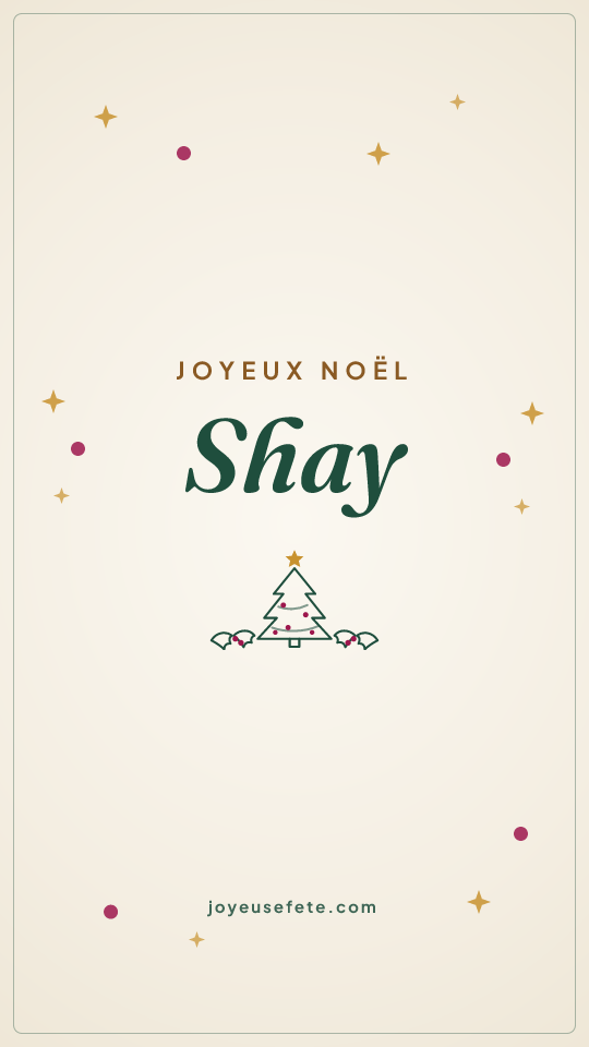 Image « Joyeux Noël Shay » au format story