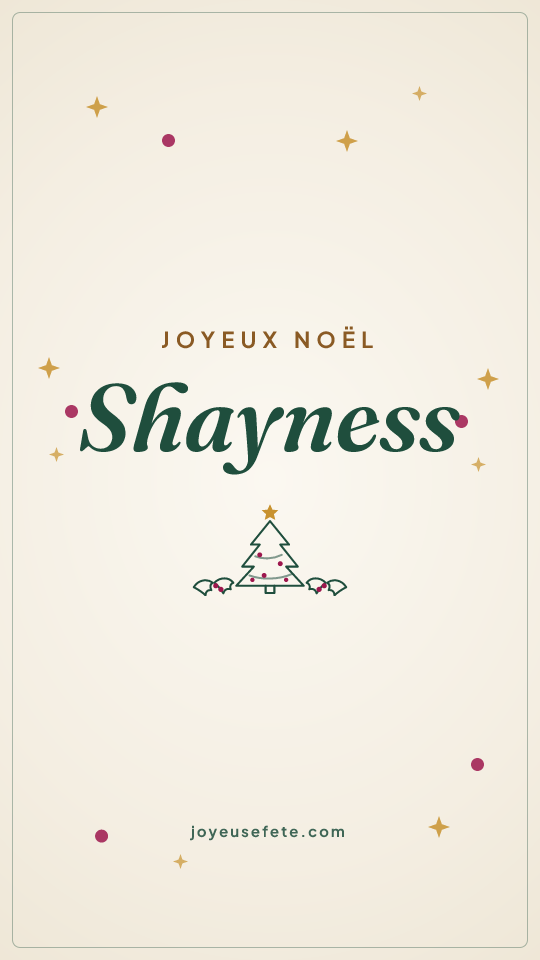 Image « Joyeux Noël Shayness » au format story