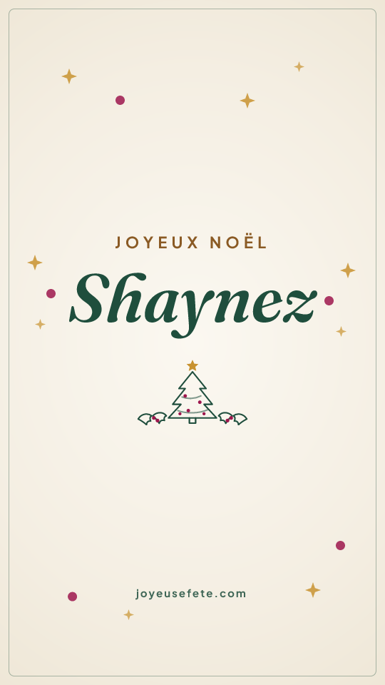 Image « Joyeux Noël Shaynez » au format story