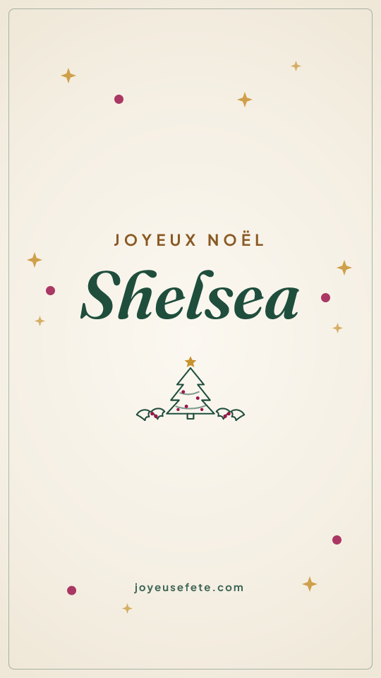 Image « Joyeux Noël Shelsea » au format story