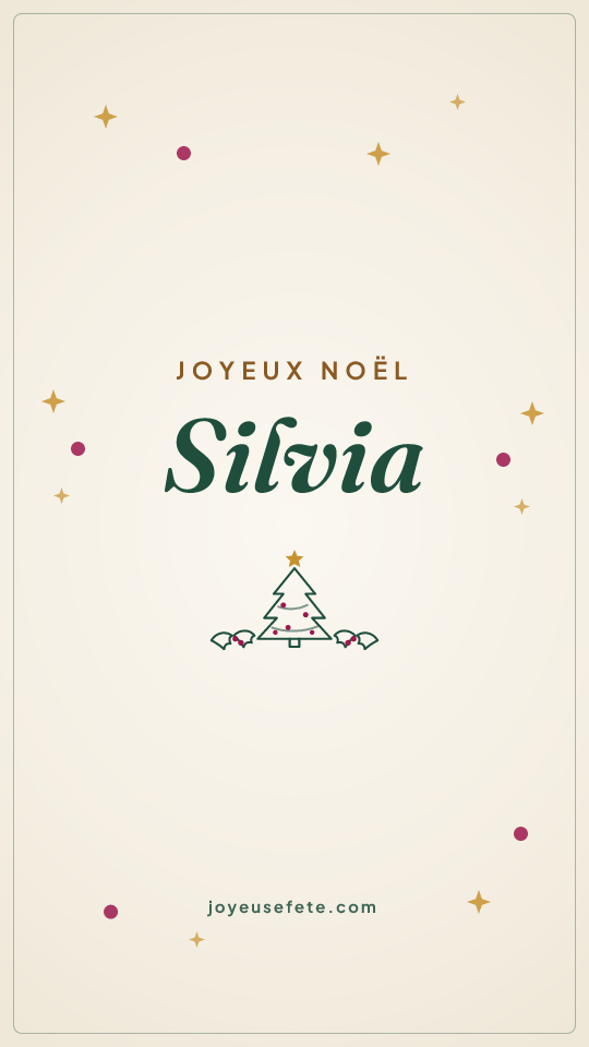 Image « Joyeux Noël Silvia » au format story