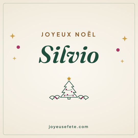 Image carrée « Joyeux Noël Silvio » pour WhatsApp