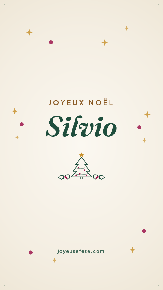 Image « Joyeux Noël Silvio » au format story
