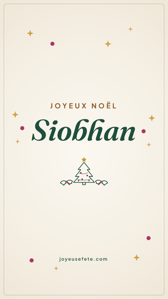 Image « Joyeux Noël Siobhan » au format story